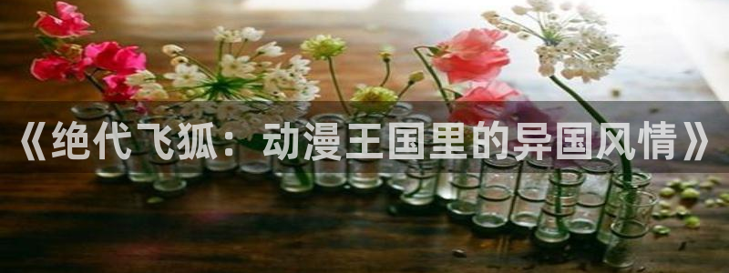 动漫里番剧大全：《绝代飞狐：动漫王国里的异国风情》