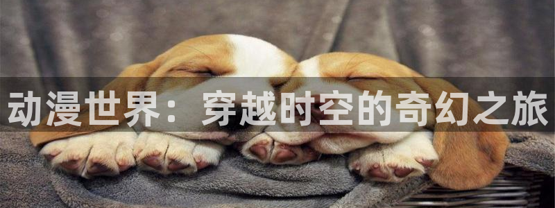 肉里番动漫：动漫世界：穿越时空的奇幻之旅