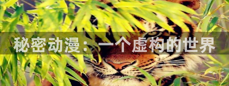 里番动漫av：秘密动漫：一个虚构的世界