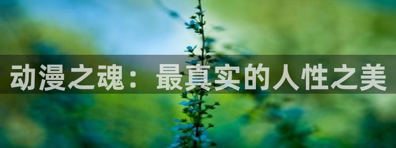 日本少女口工里番漫画：动漫之魂：最真实的人性之美