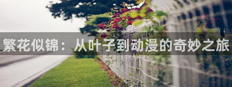 旧里番动画：繁花似锦：从叶子到动漫的奇妙之旅