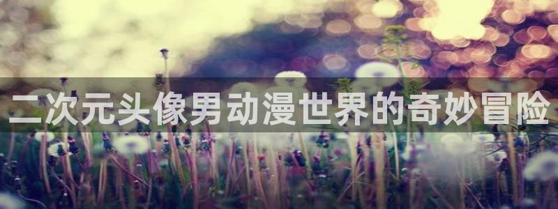 里番在线动漫：二次元头像男动漫世界的奇妙冒险