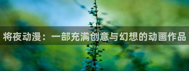 里番本子漫画大全：将夜动漫：一部充满创意与幻想的动画作品